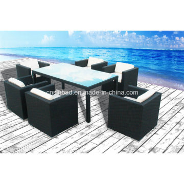 Outdoor Wicker Möbel für Esszimmer mit Stühlen / SGS (6310-1)